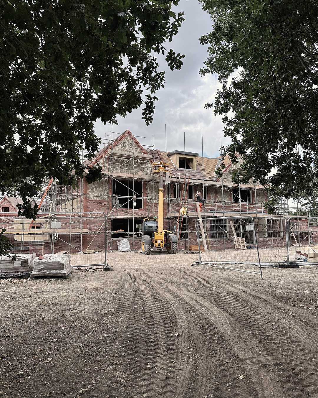 The house under scaffold, framed by trees